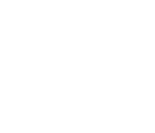 冠船流